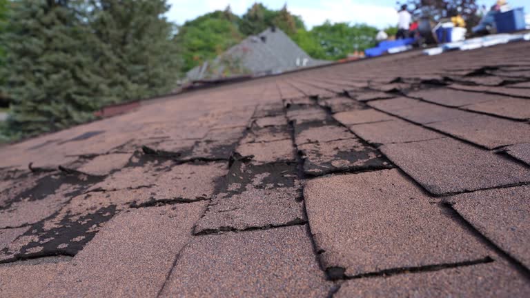 Best Roof Maintenance and Cleaning  in Fredericksburg, TX